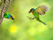 sue hsu's photo